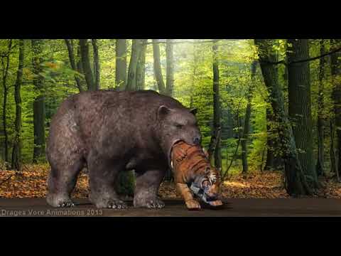 Drages vore animations 2018