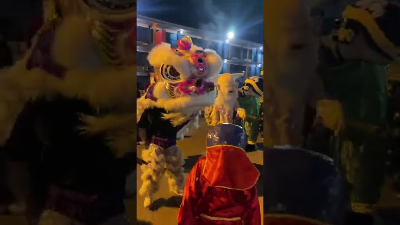 Dragon dance chinese new year in Houston