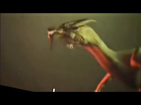 Dragon eats person (ROF - BTS)