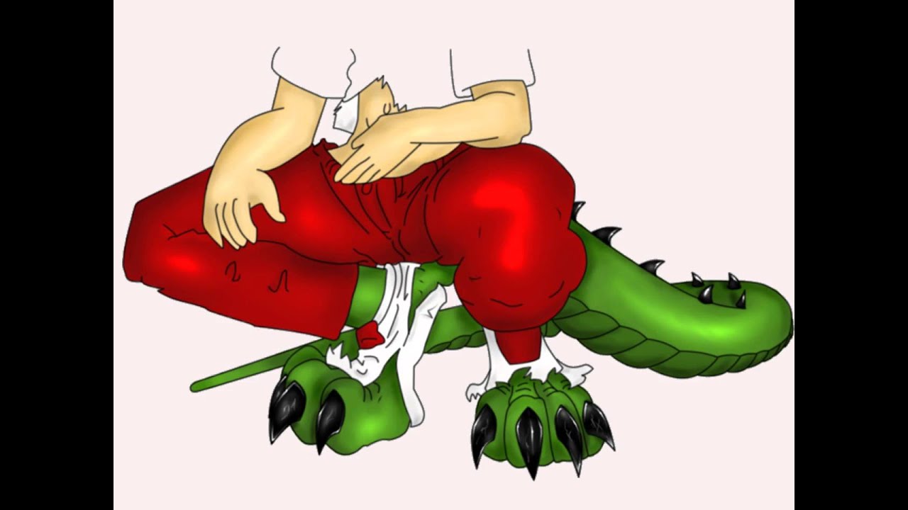 Dragonwish HD 2016 : Dragon TF Animation