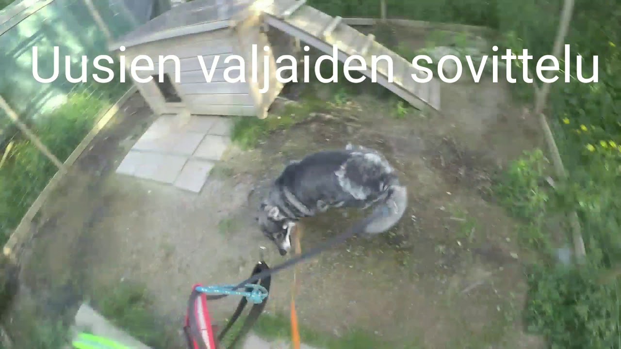 DRAGRÅTTAN X-VETOVALJAAT