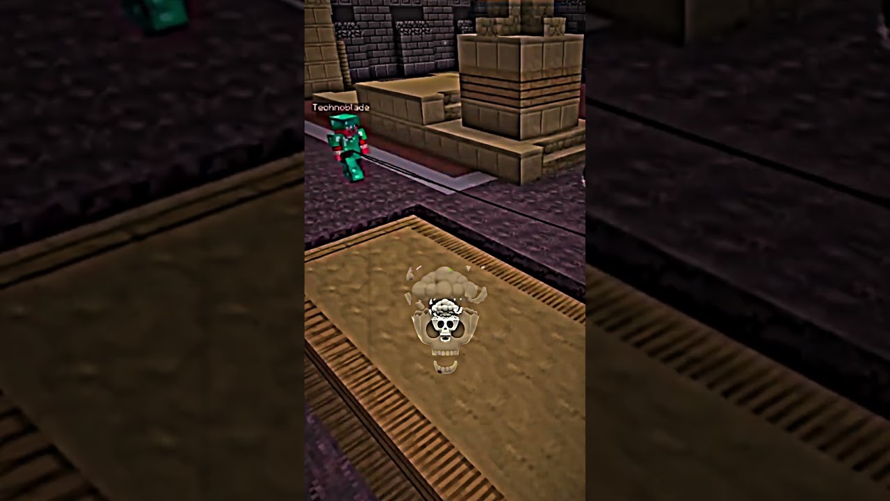 Dream fought the true BEST #minecraft #dream #daquavis #technoblade