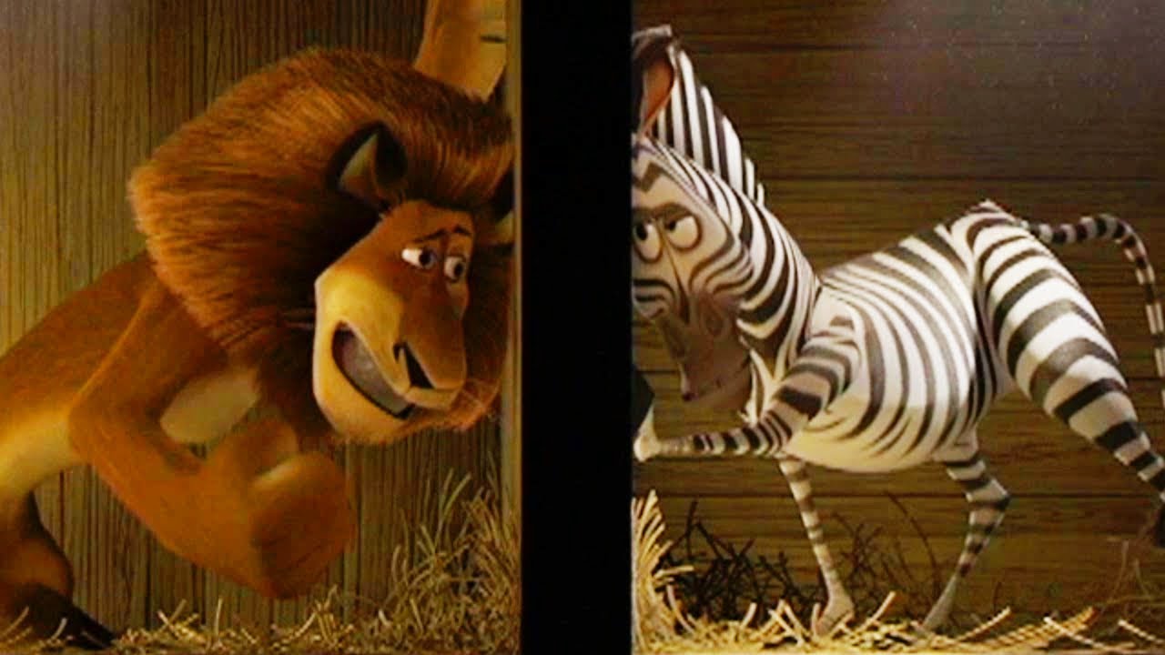 DreamWorks Madagascar en Español Latino | Transferencia de Zoo - Madagascar | Dibujos Animados