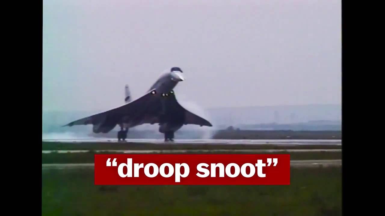 Droop Snoot