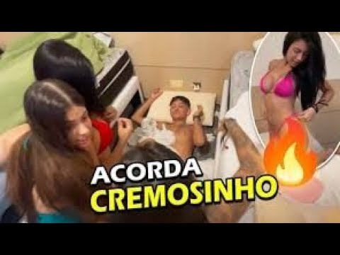 DUAS GATAS ACORDANDO O CREMOSINHO