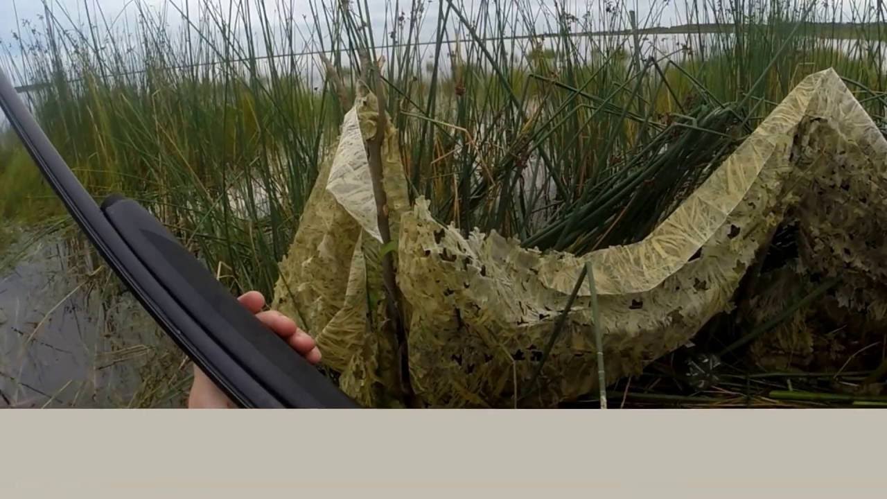 Duck hunting 2016 / Sorsastus 2016