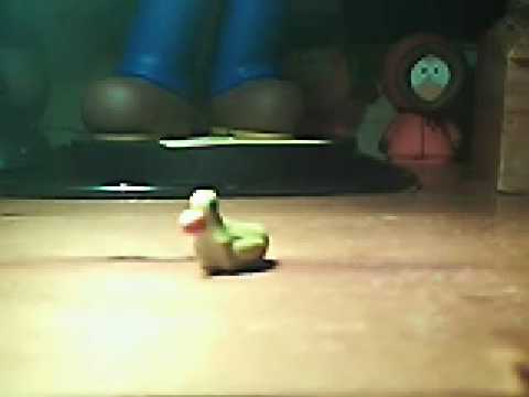 Duck TV