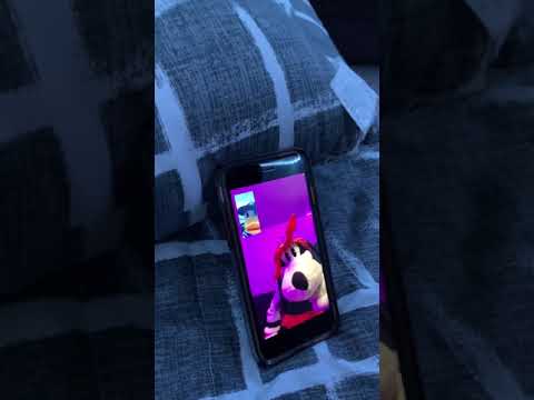 Ducky FaceTime goofy (gone wrong)
