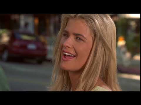 Dude, where's my car - Hoo Hoos