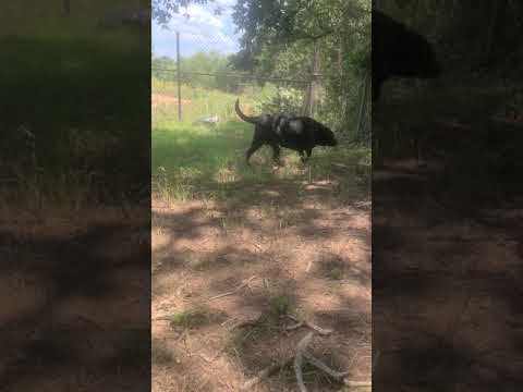 Dulce and Shelby 6-19-21