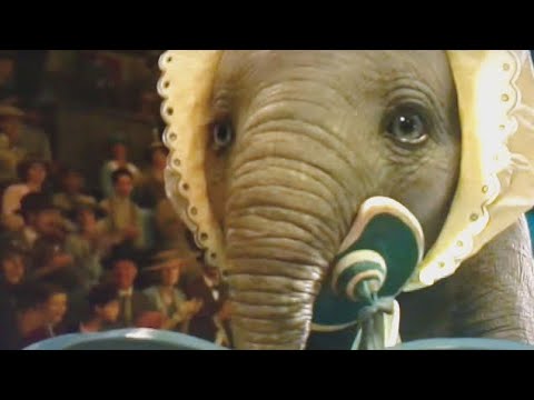 Dumbo: 9:30Pm Por Azteca 7