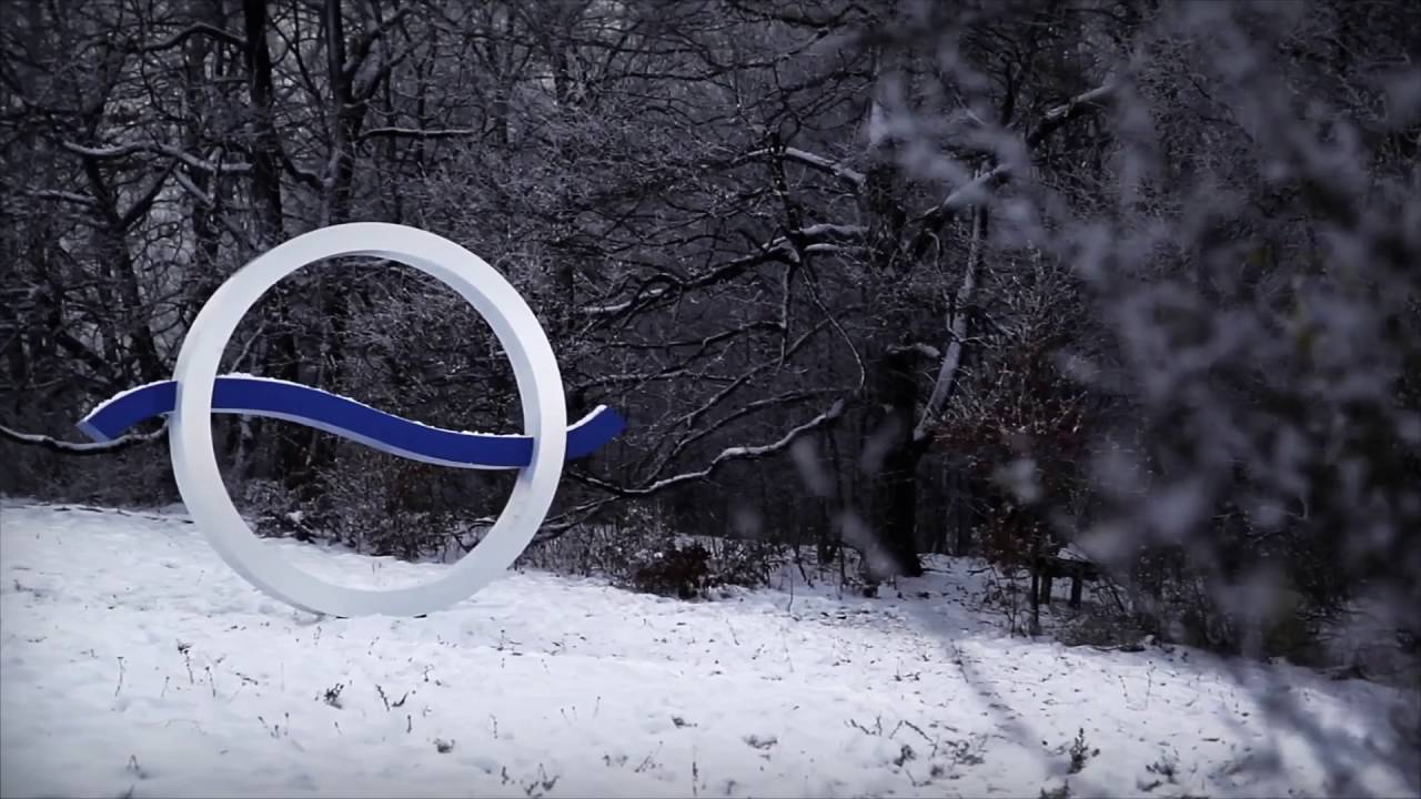 Duna téli identek 2013 január