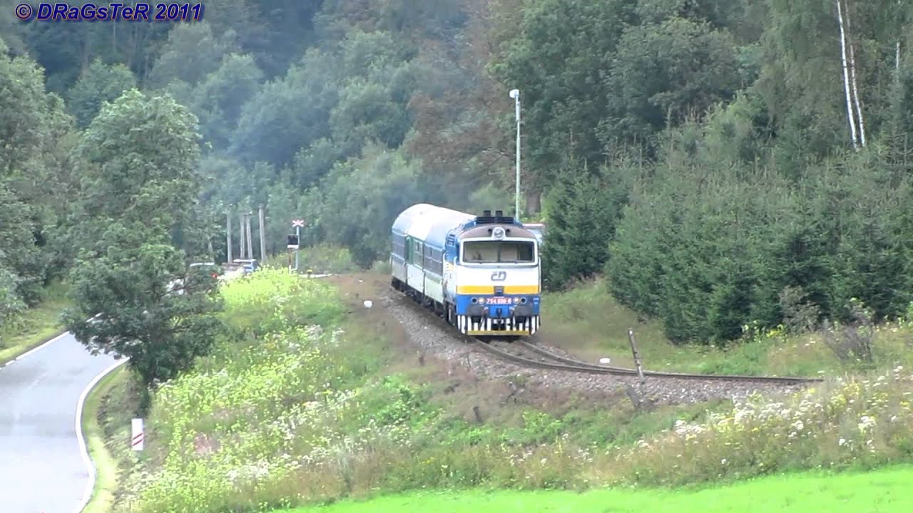 Dunící brejlovec ve stoupání [FHD]