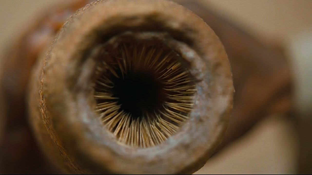 Dune - Little Sandworm  - How to get Water of Life