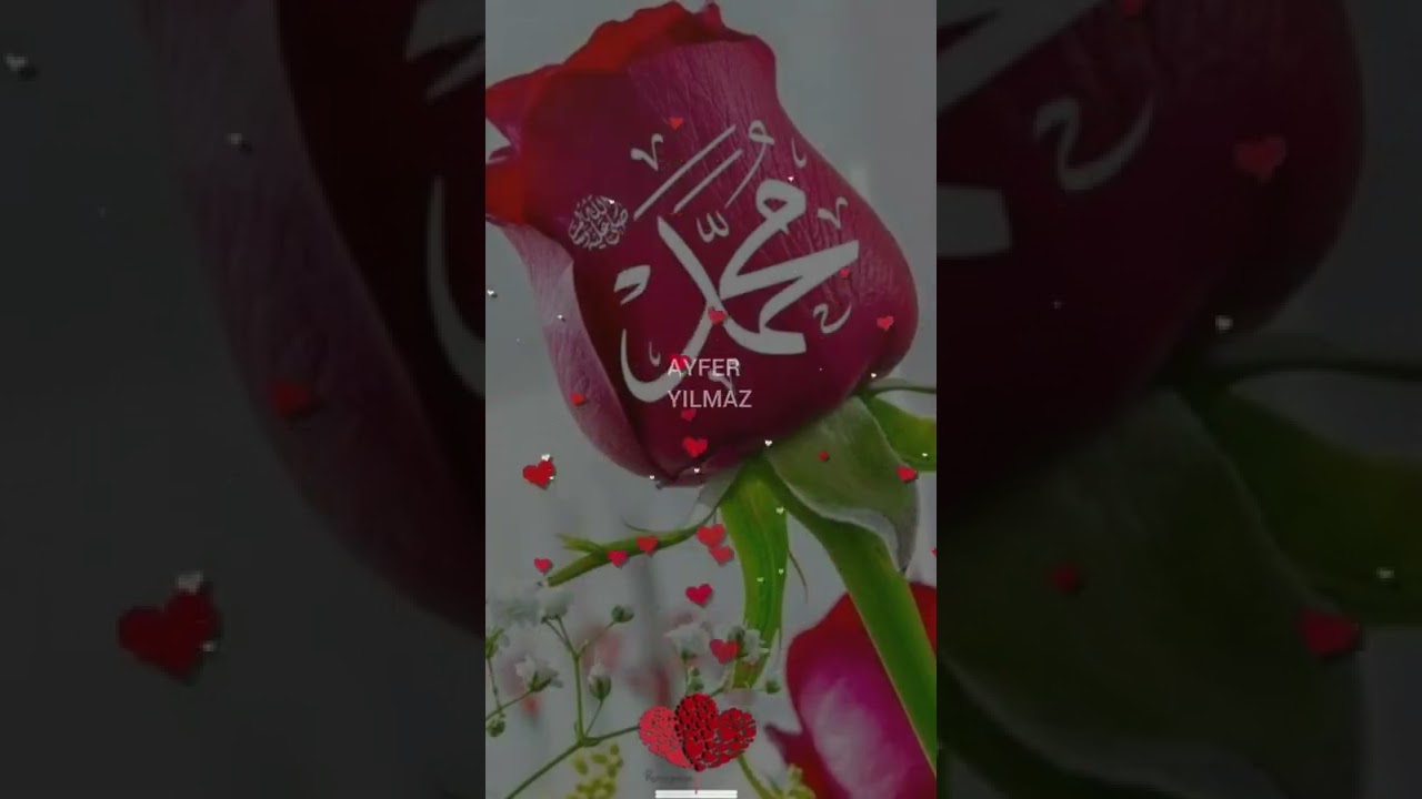 durum videoları ilahi #whatsappstatus #ilahi #ilahiler Ya Resülüllah# ﷲﷻ ♡﷽ ♡