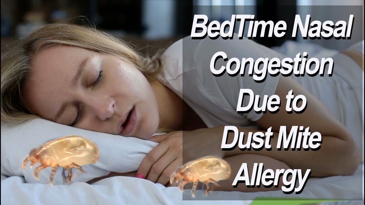 Dust Mite Allergy Causing Bedtime Nasal Congestion
