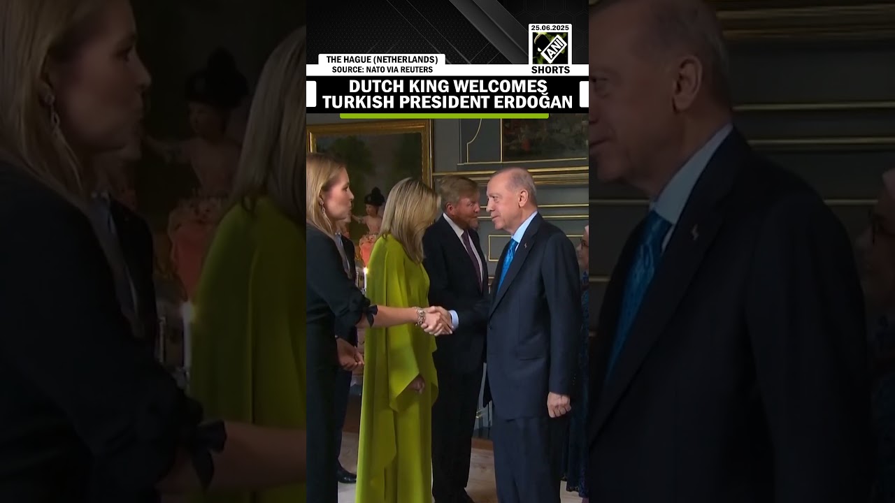 Dutch King Willem-Alexander welcomes Turkish President Recep Tayyip Erdoğan at NATO Dinner