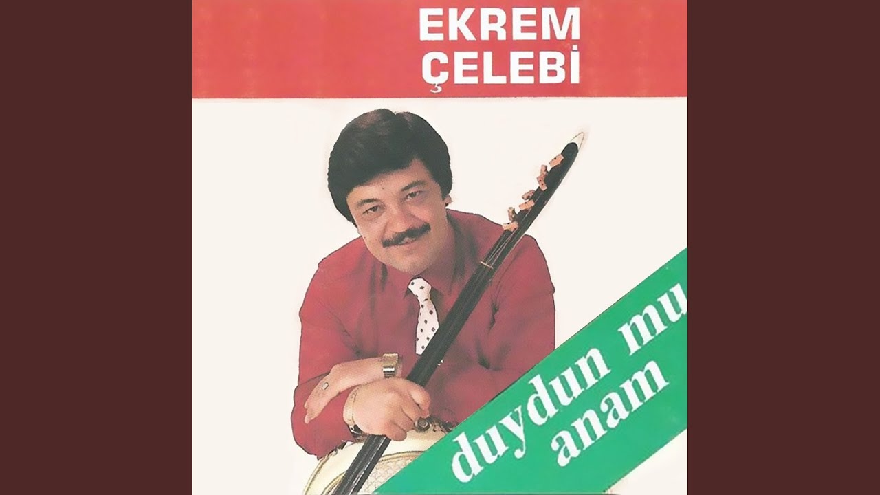 Duydun Mu Anam