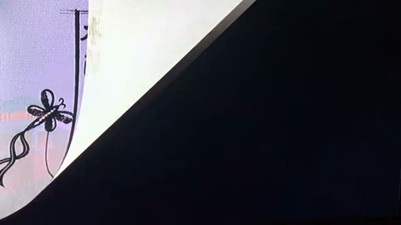 DVD openings in different languages #13