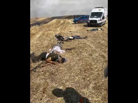 DİYARBAKIR BİSMİL'DE ARAZİ KAVGASI 10 CAN KAYBI!