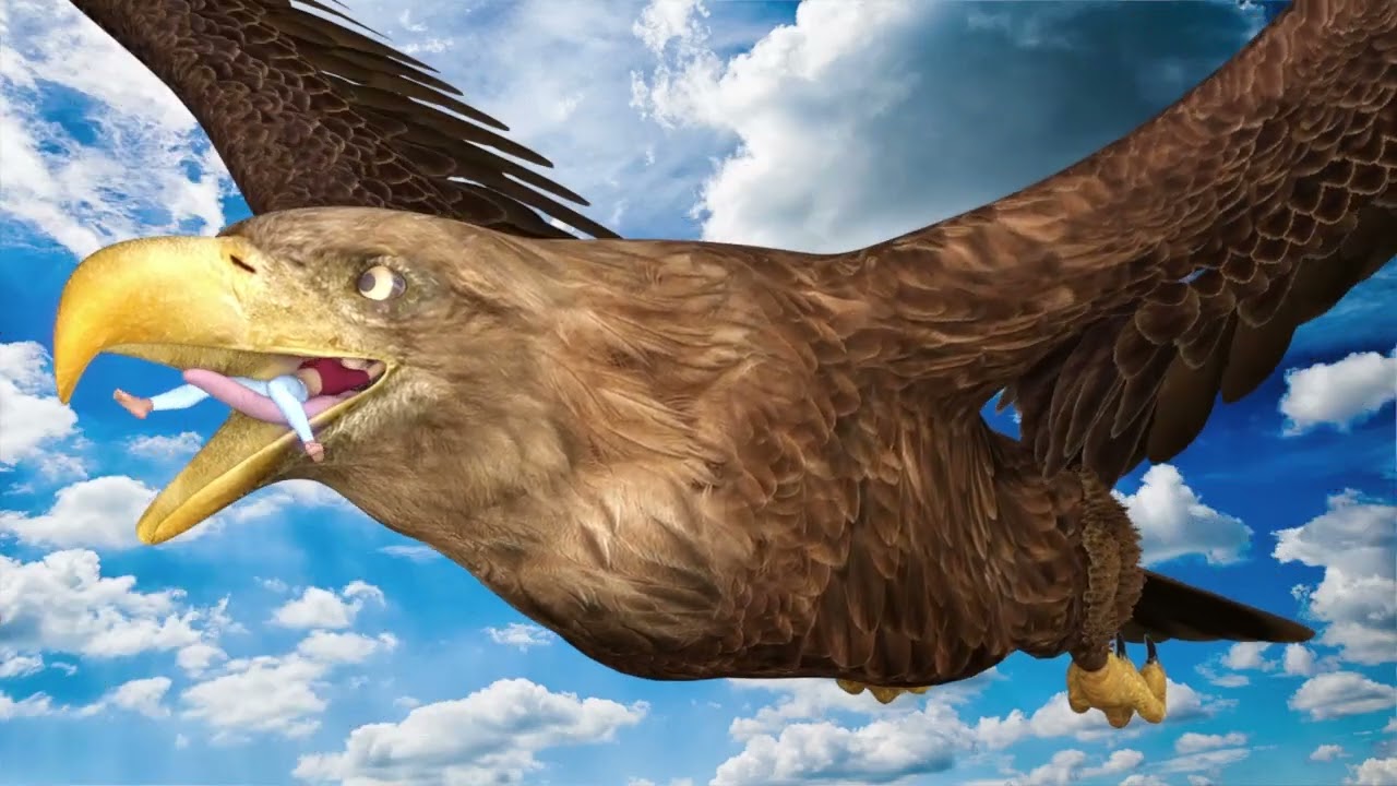 Eagle vore animation test 1B 15FPS