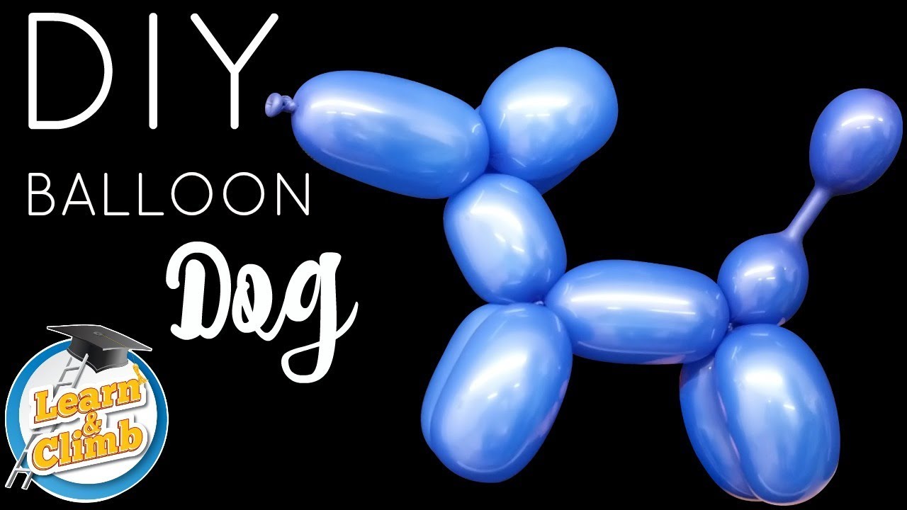 EASY BEGINNER DOG BALLOON TUTORIAL - LEARN AND CLIMB DIY BALLOON KIT