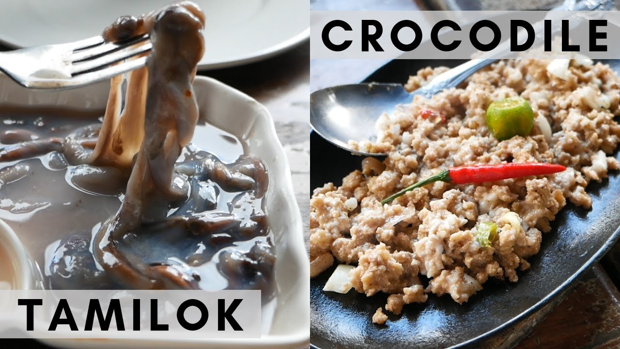 Eating Tamilok (Woodworm)! | Filipino Delicacies at Puerto Princesa