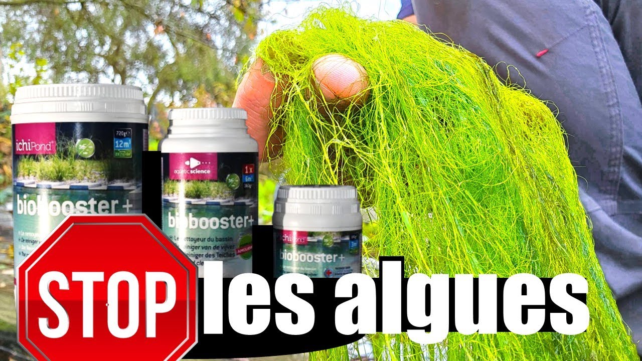 Eau de Bassin Claire et Sans Algues : Le Secret de Biobooster+