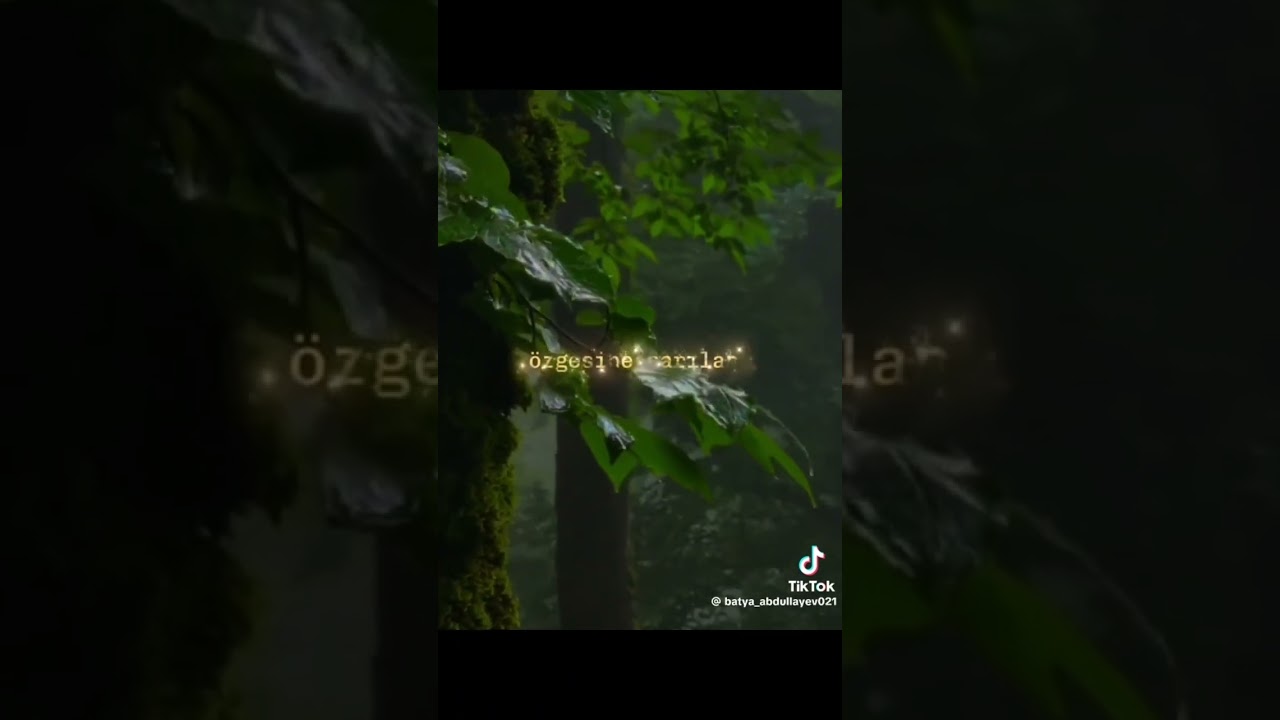 Şebnem tovuzlu #şərab  süz ver içək  yalvarma #sebnemtovuzlu