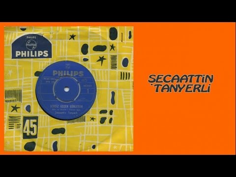 Şecaattin Tanyerli - Sevgi (Official Audio)
