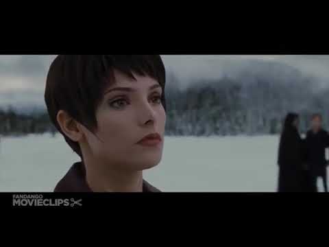 Edward & Bella ~ Daylight (Breaking Dawn 2 Tribute)