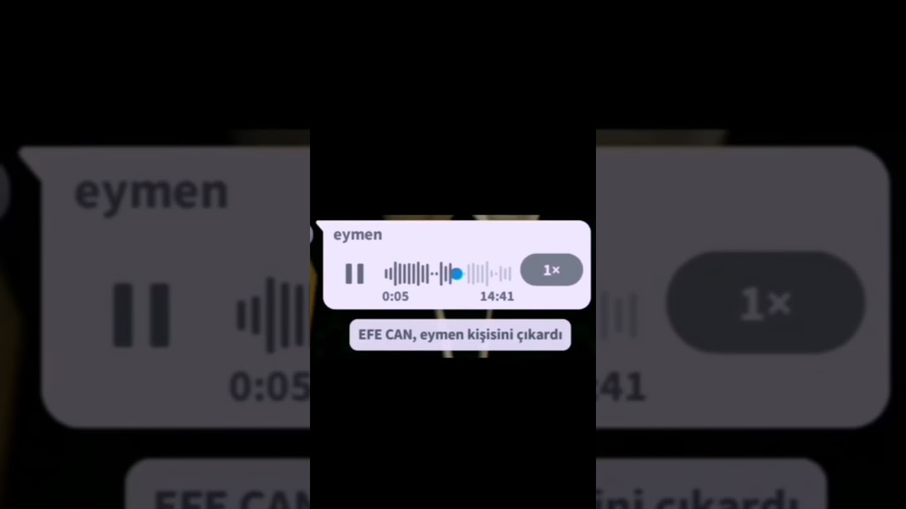 Efe can ben senin ananın amına koyim ya diyen çoçuk