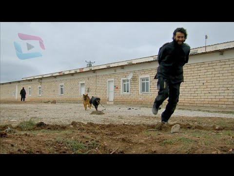Şefkat Tepe 144.Bölüm full HD 4K Tek Parça