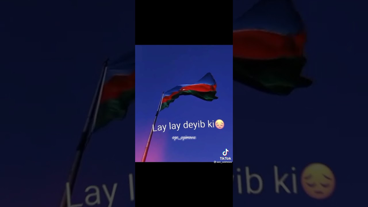 Şehidlere aid deyerli sozler📝👈