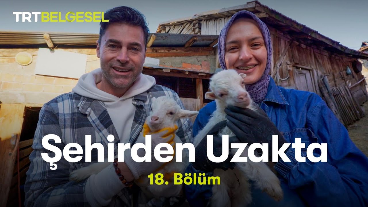 Şehirden Uzakta | Bolu - Fırınlık Köyü | TRT Belgesel