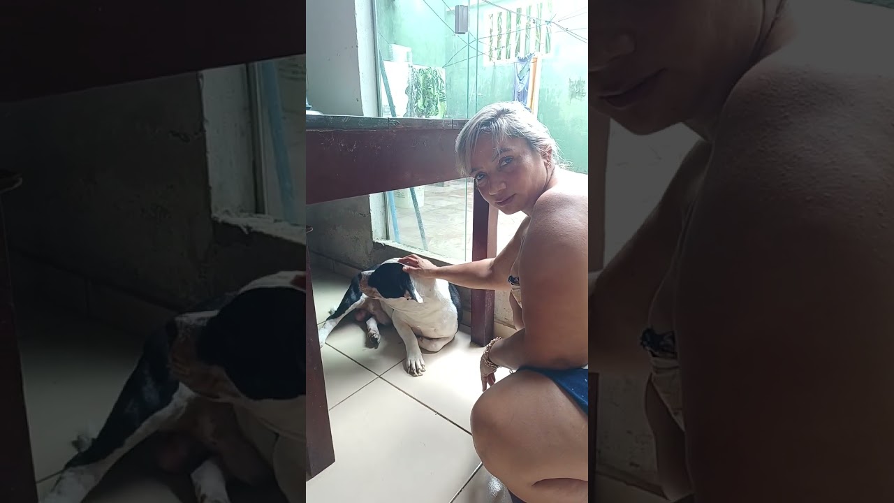 eita cachorro lindo kkkk
