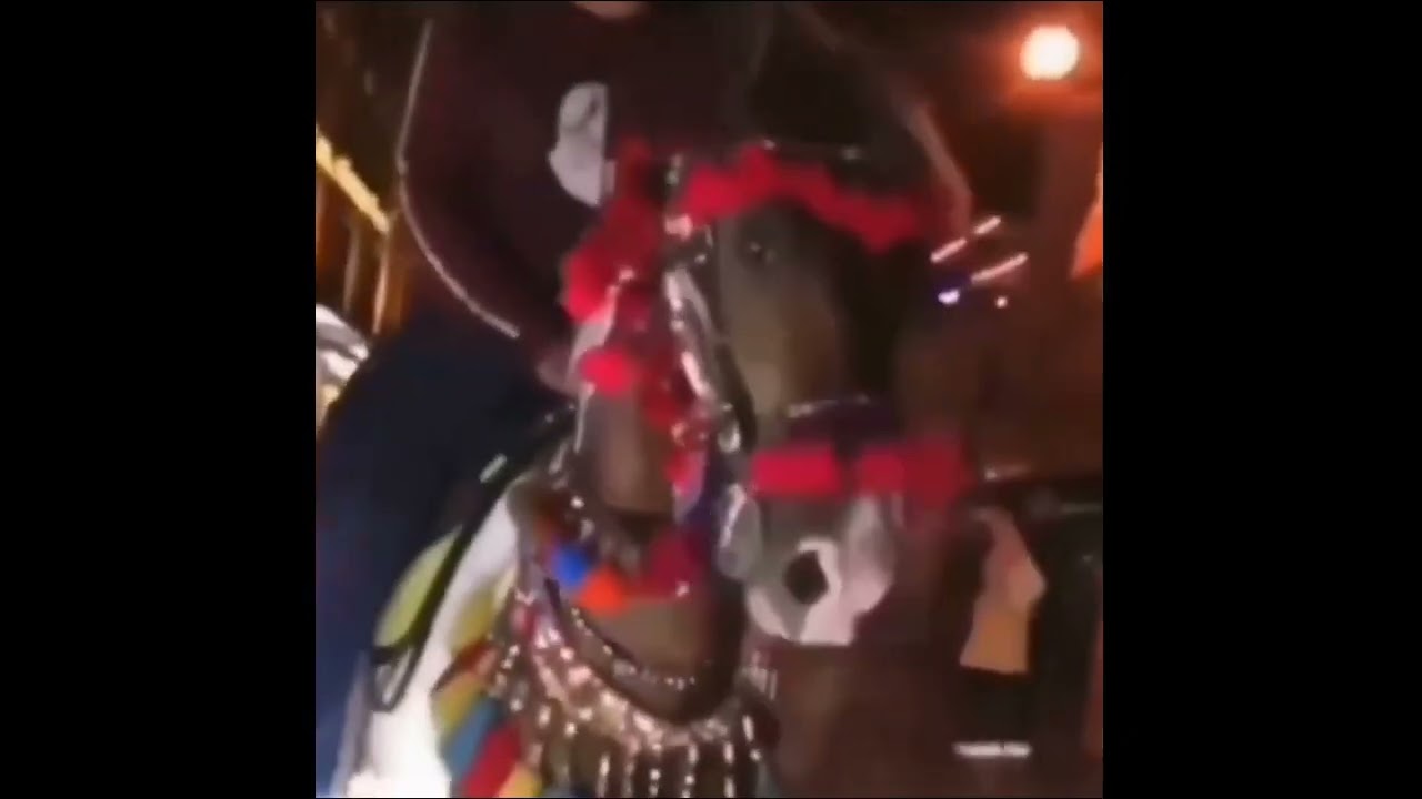 çekil artık vuracak seni