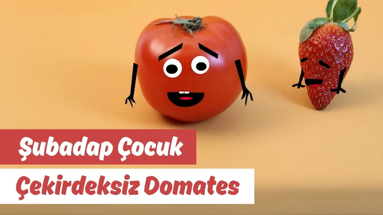 Çekirdeksiz Domates | Video | Şubadap Çocuk