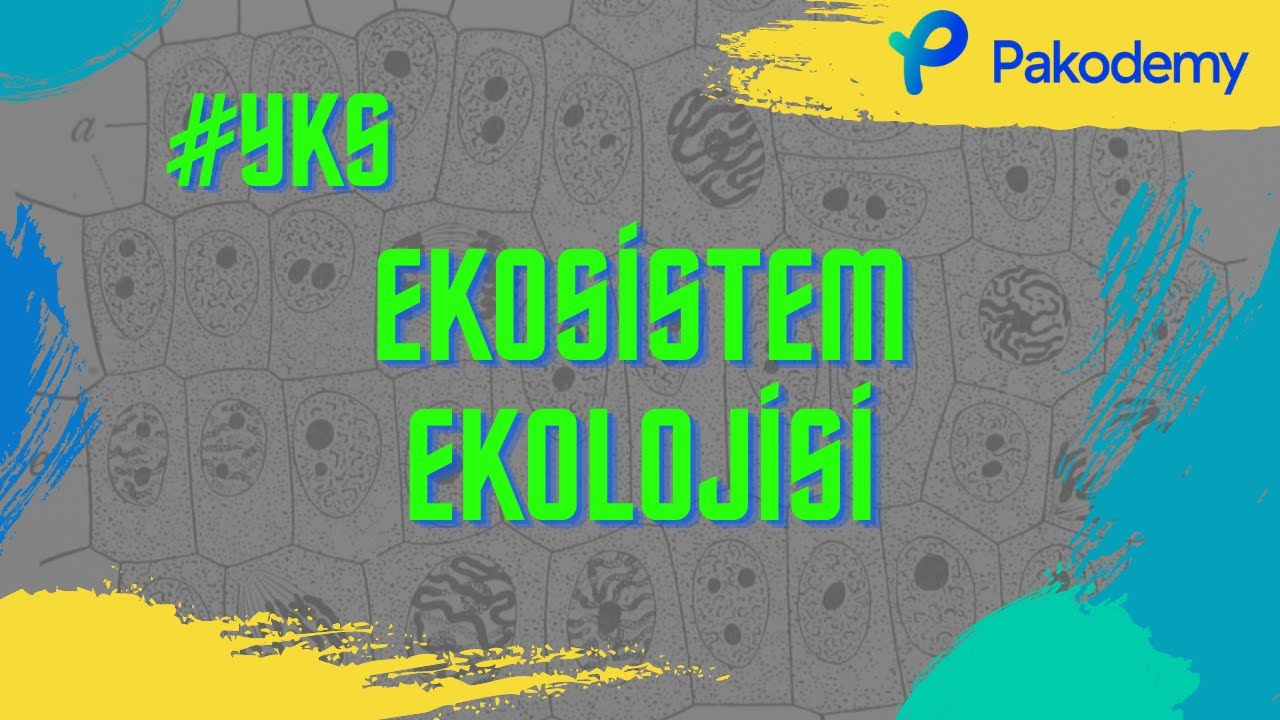 EKOSİSTEM EKOLOJİSİ  | TYT BİYOLOJİ | YKS 2021 |