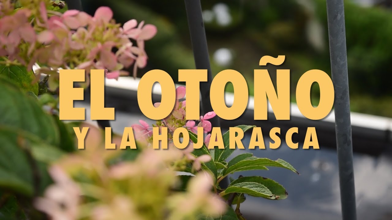 El Inicio del Otoño