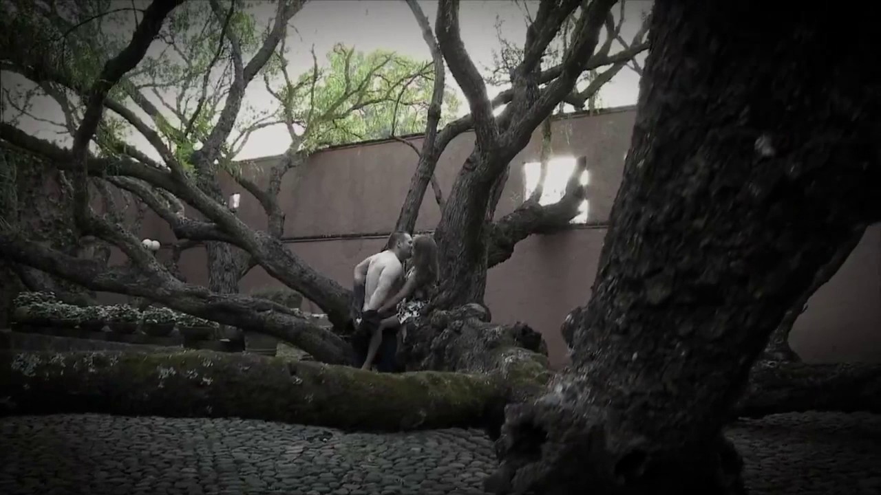 El señor de los cielos primer capitulo temporada 5/aurelio le salva la vida a emilia