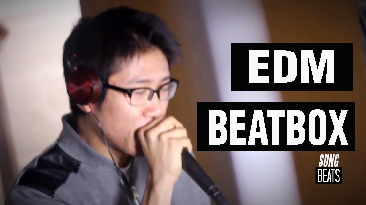 Electro & House EDM (Beatbox Live Looping) by SungBeats