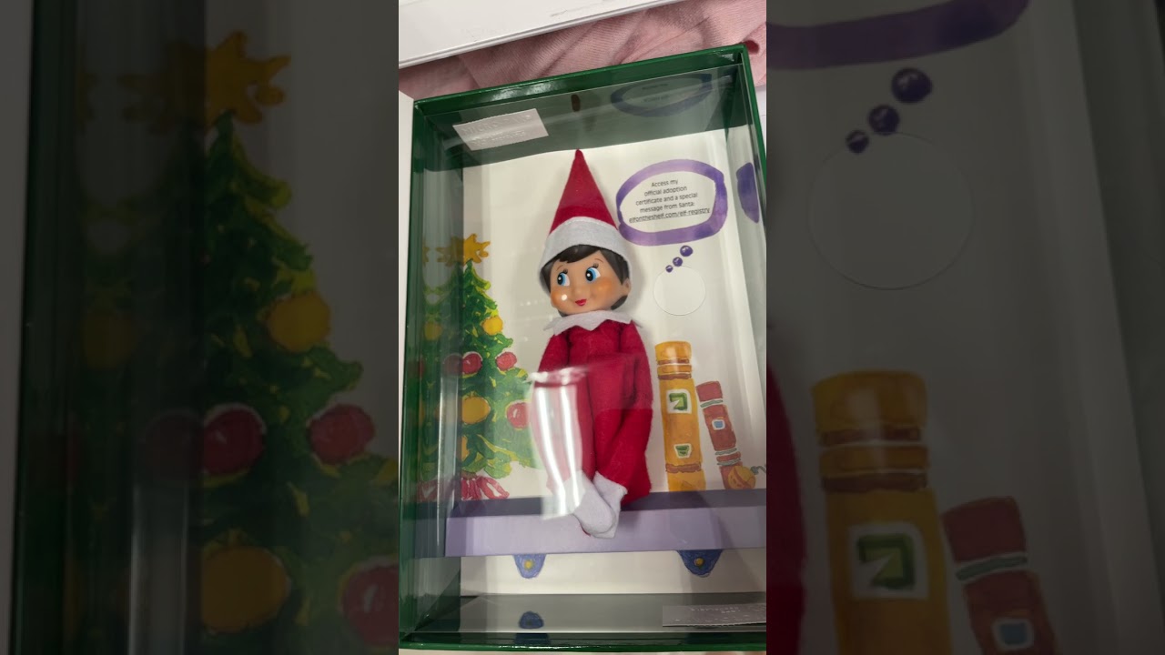 Elf on shelf Blue Eye Girl W/ Book