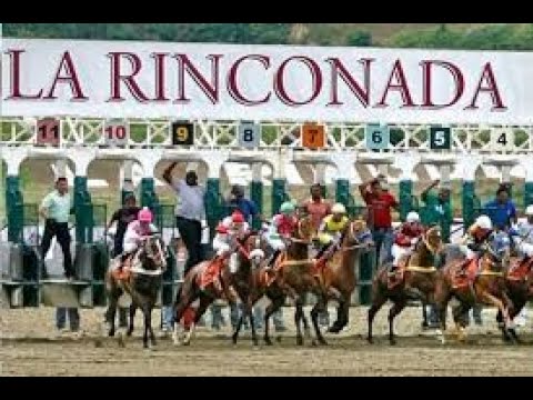 ELIO PALMA Y SU VENEZUELA HIPICA | Domingo 22 de Junio del 2025 Desde La Rinconada 🏇✨