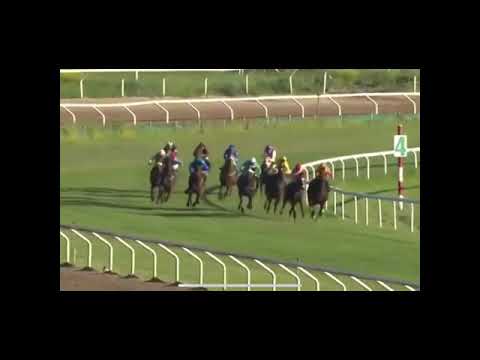 Elione Chaves 2014 2000 guineas jockeyklubbens