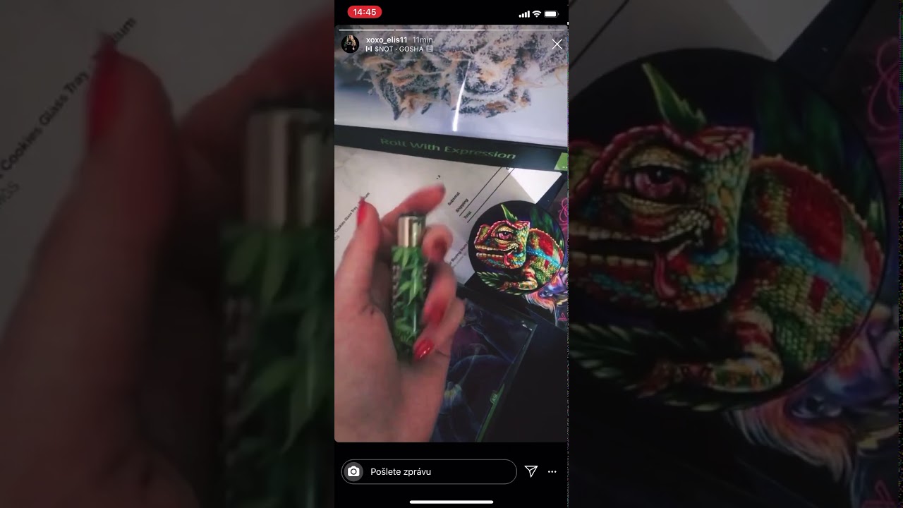 EliTheCat a její “weed farma”