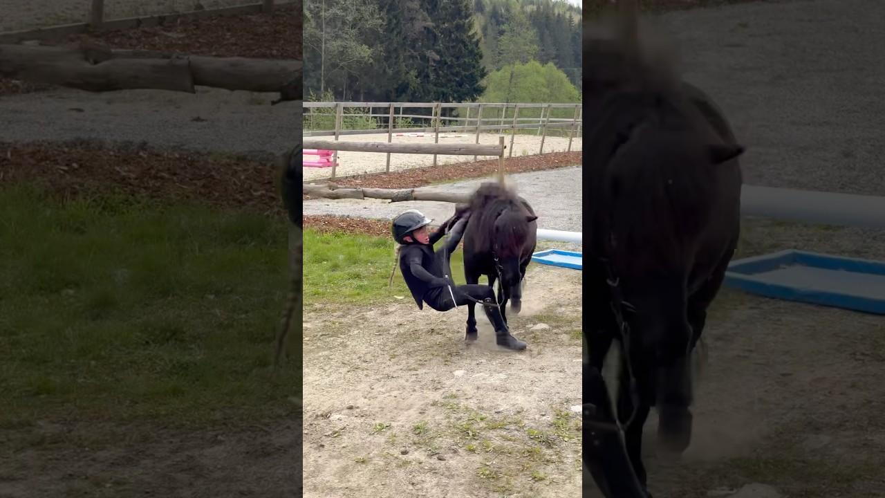 ELLA FELL OFF BLACK MANY TIMES😱 #shorts #fail #pony #horse #equestrian
