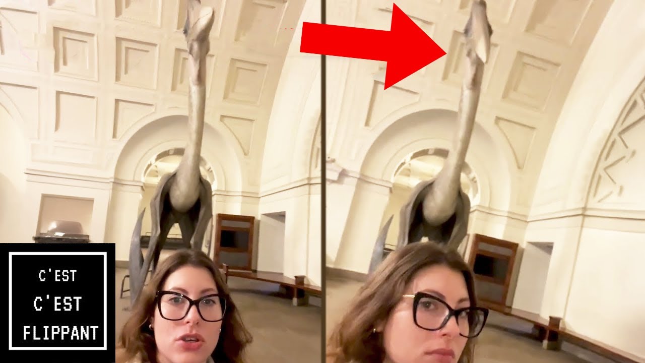 Elle CAPTURE L'IMPOSSIBLE : un dinosaure qui BOUGE (Vidéos qui fait peur et paranormal)