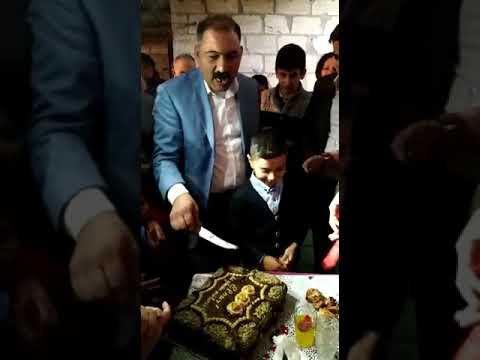 Elnur rzayev