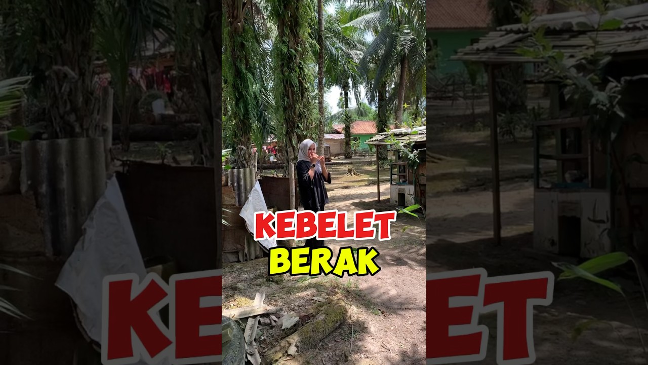 Emang cewek cantik bisa berak #shortvideos #videolucu #lucu #videomeme